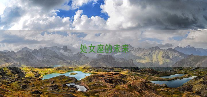 处女座的未来(图1) 处女座的未来(图1)