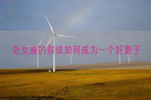 处女座的你该如何成为一个好妻子(图1)