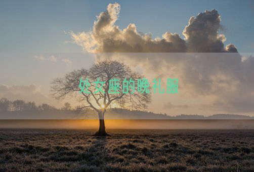 处女座的晚礼服(图1)