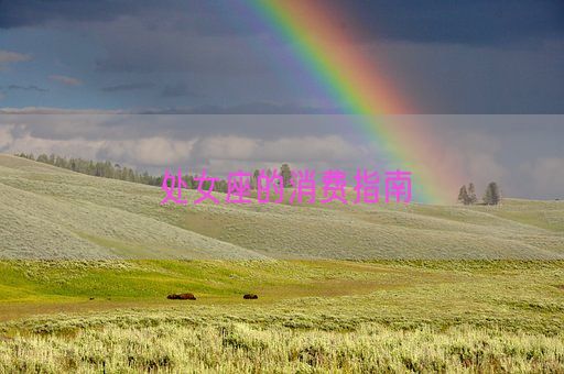 处女座的消费指南(图1) 处女座的消费指南(图1)