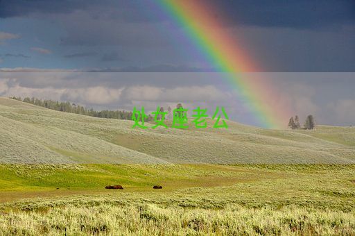 处女座老公(图1) 处女座老公(图1)