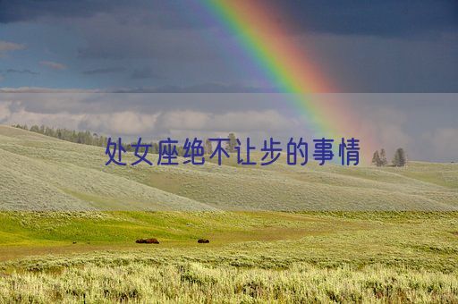 处女座绝不让步的事情(图1) 处女座绝不让步的事情(图1)