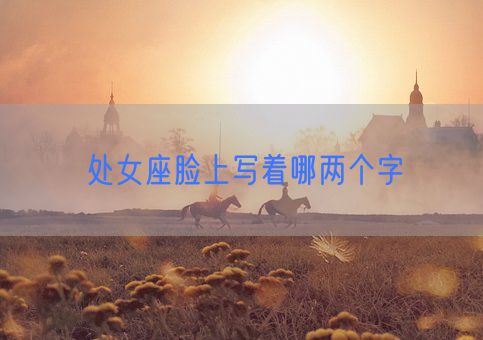 处女座脸上写着哪两个字(图1) 处女座脸上写着哪两个字(图1)