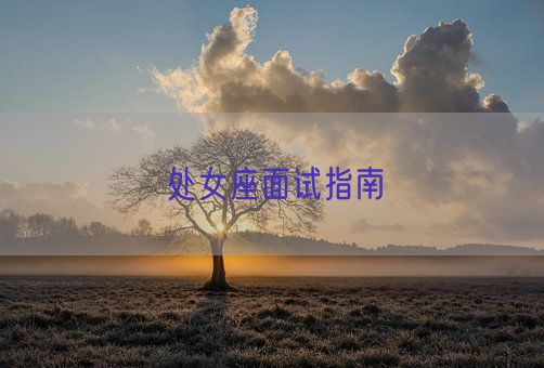 处女座面试指南(图1) 处女座面试指南(图1)