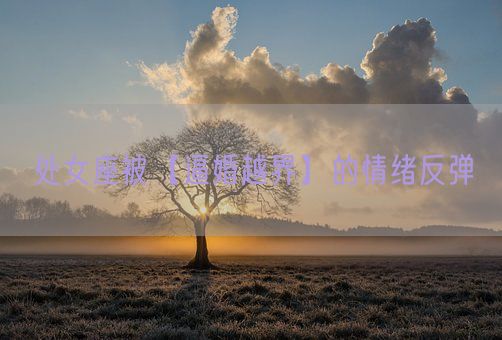 处女座被【逼婚越界】的情绪反弹(图1)