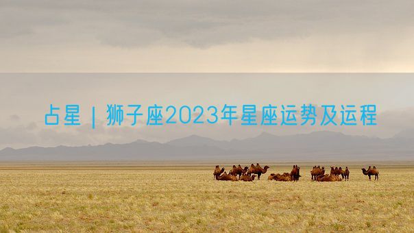 占星｜狮子座2023年星座运势及运程(图1)