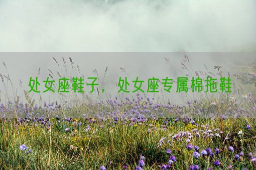 处女座鞋子,处女座专属棉拖鞋(图1) 处女座鞋子,处女座专属棉拖鞋(图1)