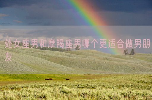 处女座男和摩羯座男哪个更适合做男朋友(图1)