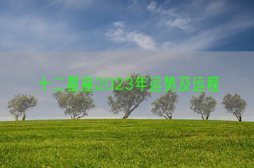 十二星座2023年运势及运程(图1)