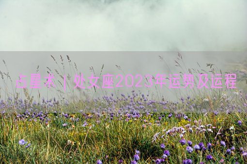 占星术|处女座2023年运势及运程(图1) 占星术|处女座2023年运势及运程(图1)