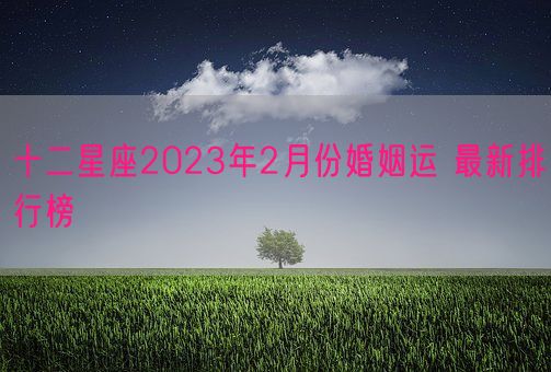 十二星座2023年2月份婚姻运 最新排行榜(图1)