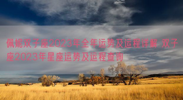 佩妮双子座2023年全年运势及运程详解 双子座2023年星座运势及运程查询(图1)