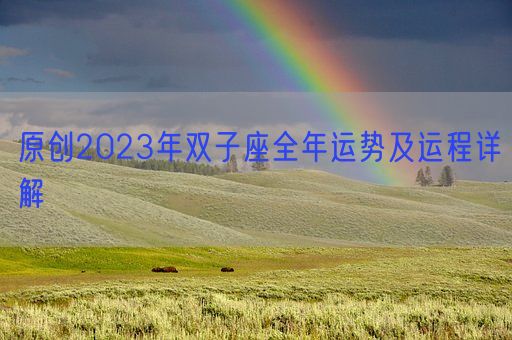 原创2023年双子座全年运势及运程详解(图1)