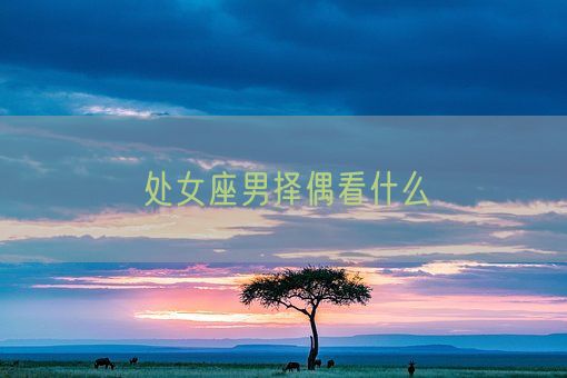 处女座男择偶看什么(图1) 处女座男择偶看什么(图1)