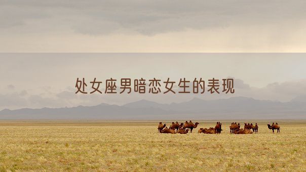 处女座男暗恋女生的表现(图1)