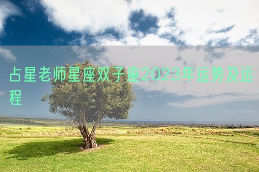 占星老师星座双子座2023年运势及运程(图1) 占星老师星座双子座2023年运势及运程(图1)