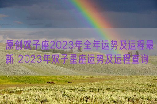 原创双子座2023年全年运势及运程最新 2023年双子星座运势及运程查询(图1)