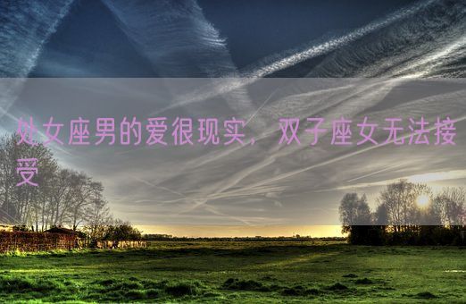 处女座男的爱很现实,双子座女无法接受(图1) 处女座男的爱很现实,双子座女无法接受(图1)