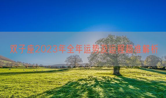 双子座2023年全年运势及运程超准解析(图1)