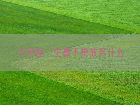 天秤座一生最不想放弃什么(图1)