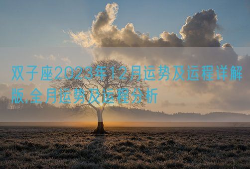 双子座2023年12月运势及运程详解版,全月运势及运程分析(图1) 双子座2023年12月运势及运程详解版,全月运势及运程分析(图1)