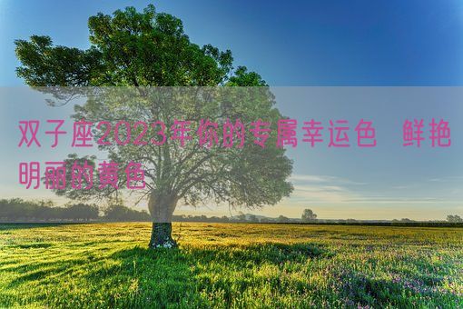 双子座2023年你的专属幸运色 鲜艳明丽的黄色(图1) 双子座2023年你的专属幸运色 鲜艳明丽的黄色(图1)