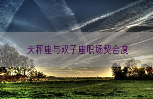 天秤座与双子座职场契合度(图1)