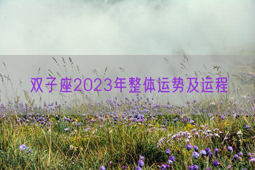 双子座2023年整体运势及运程(图1) 双子座2023年整体运势及运程(图1)