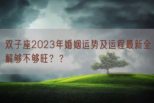 双子座2023年婚姻运势及运程最新全解够不够旺？？(图1)