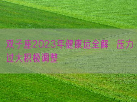 双子座2023年健康运全解  压力过大积极调整(图1)