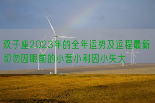 双子座2023年的全年运势及运程最新 切勿因眼前的小营小利因小失大(图1)