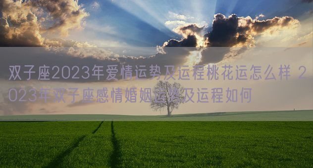 双子座2023年爱情运势及运程桃花运怎么样 2023年双子座感情婚姻运势及运程如何(图1) 双子座2023年爱情运势及运程桃花运怎么样 2023年双子座感情婚姻运势及运程如何(图1)