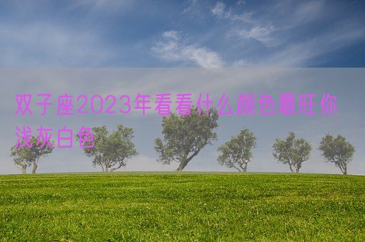 双子座2023年看看什么颜色最旺你 浅灰白色(图1) 双子座2023年看看什么颜色最旺你 浅灰白色(图1)