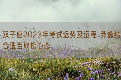 双子座2023年考试运势及运程 劳逸结合适当放松心态(图1)