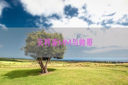 天秤座MM与帅哥(图1)