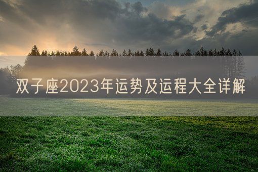 双子座2023年运势及运程大全详解(图1) 双子座2023年运势及运程大全详解(图1)