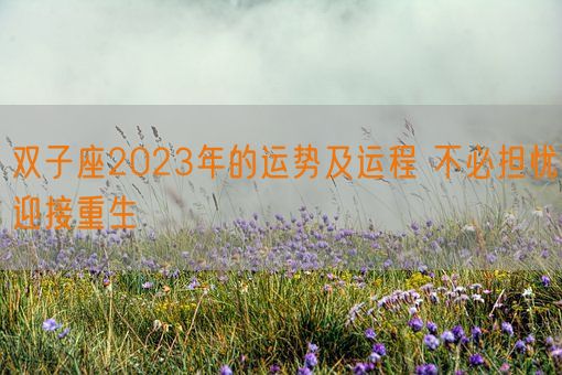 双子座2023年的运势及运程 不必担忧迎接重生(图1)