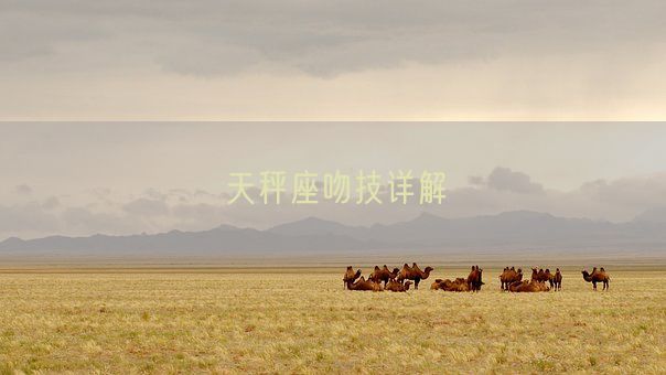天秤座吻技详解(图1)