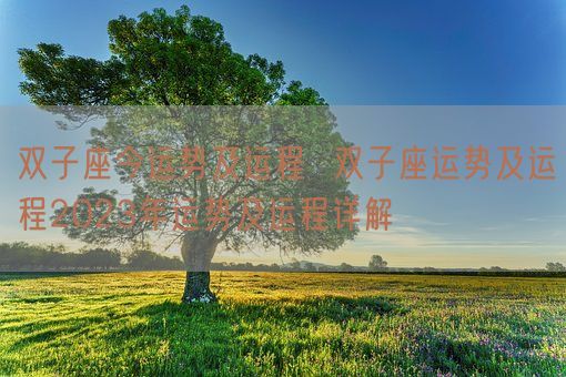 双子座今运势及运程  双子座运势及运程2023年运势及运程详解 (图1)