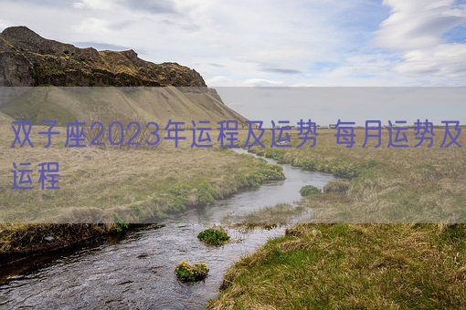 双子座2023年运程及运势 每月运势及运程(图1)
