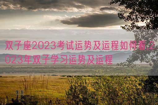 双子座2023考试运势及运程如何看,2023年双子学习运势及运程(图1) 双子座2023考试运势及运程如何看,2023年双子学习运势及运程(图1)