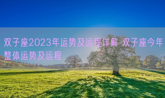双子座2023年运势及运程详解 双子座今年整体运势及运程(图1) 双子座2023年运势及运程详解 双子座今年整体运势及运程(图1)