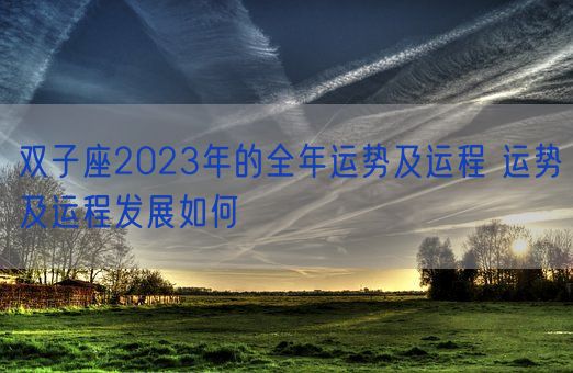 双子座2023年的全年运势及运程 运势及运程发展如何(图1)