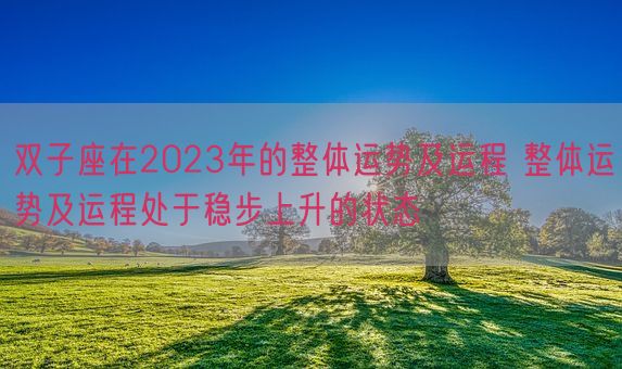 双子座在2023年的整体运势及运程 整体运势及运程处于稳步上升的状态(图1)