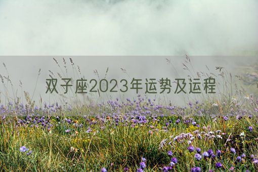 双子座2023年运势及运程(图1)