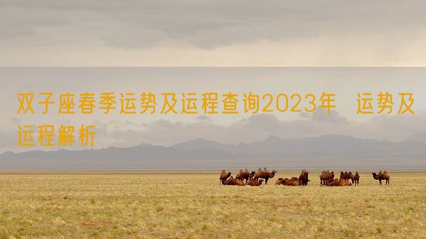 双子座春季运势及运程查询2023年  运势及运程解析(图1)