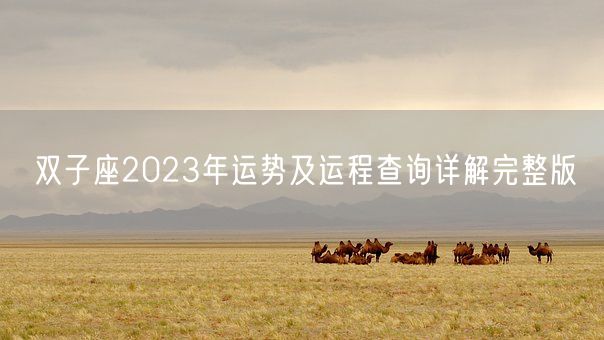 双子座2023年运势及运程查询详解完整版(图1)