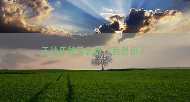 天秤座如何表达“我想你了”(图1)