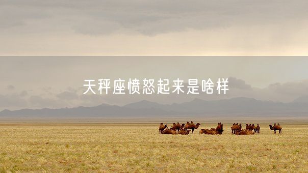 天秤座愤怒起来是啥样(图1) 天秤座愤怒起来是啥样(图1)