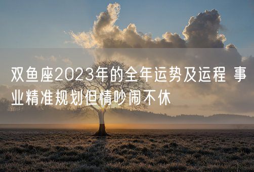 双鱼座2023年的全年运势及运程 事业精准规划但情吵闹不休(图1)